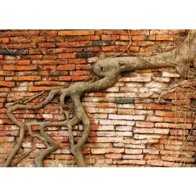 Téglafal  poszter, fotótapéta, Vlies (104 x 70,5 cm)