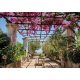 Virágos pergola poszter, fotótapéta Vlies (152,5 x 104 cm)