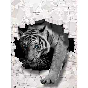 Tirgis poszter, fotótapéta, Vlies  (184x254 cm, álló)