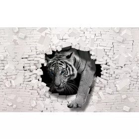 Tigris  poszter, fotótapéta, Vlies (104 x 70,5 cm)