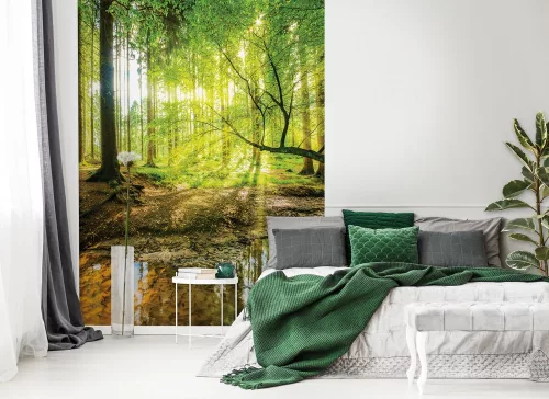 Erdő poszter, fotótapéta, Vlies  (184x254 cm, álló)