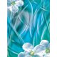 Virágok poszter, fotótapéta, Vlies  (206x275 cm, álló)
