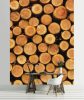 Farönk poszter, fotótapéta, Vlies  (206x275 cm, álló)