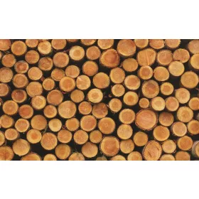 Farönk poszter, fotótapéta, Vlies (104 x 70,5 cm)