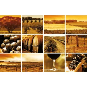 Wineyard poszter, fotótapéta, Vlies (104 x 70,5 cm)