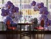 Lila orchidea poszter, fotótapéta Vlies (208 x 146 cm)