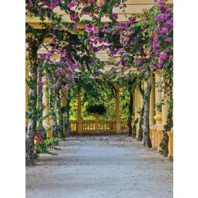 Filagóra poszter, fotótapéta, Vlies  (184x254 cm, álló)