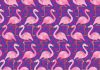 Flamingók poszter, fotótapéta Vlies (368 x 254 cm)