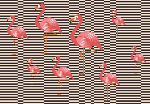 Flamingók poszter, fotótapéta, Vlies (416 x 254 cm)