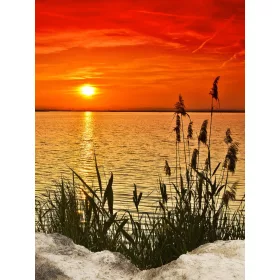   Napnyugta a nádas tónál poszter, fotótapéta, Vlies  (184x254 cm, álló)