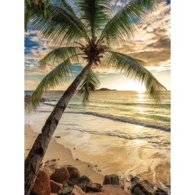   Pálmafa a napos tengerparton poszter, fotótapéta, Vlies  (184x254 cm, álló)