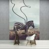 Zebra poszter, fotótapéta, Vlies  (184x254 cm, álló)