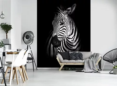 Zebra poszter, fotótapéta, Vlies  (206x275 cm, álló)