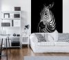 Zebra poszter, fotótapéta, Vlies  (206x275 cm, álló)