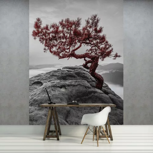 Fa a sziklán poszter, fotótapéta, Vlies  (206x275 cm, álló)