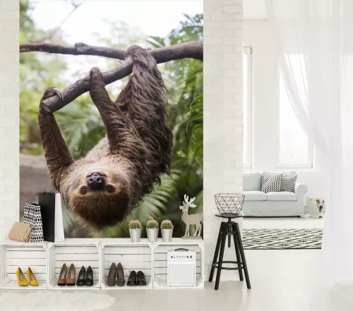 Lajhár poszter, fotótapéta, Vlies  (184x254 cm, álló)