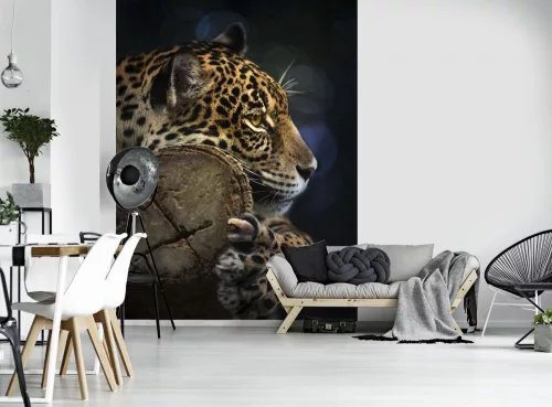 Jaguár poszter, fotótapéta, Vlies  (184x254 cm, álló)