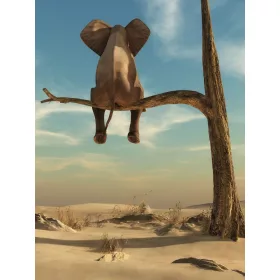   Kis elefánt a fán poszter, fotótapéta, Vlies  (184x254 cm, álló)