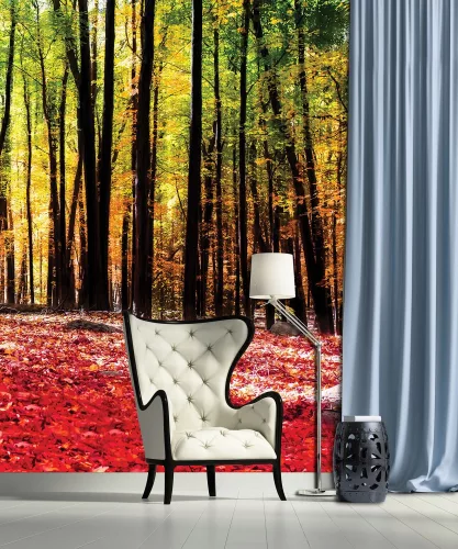 Erdő poszter, fotótapéta, Vlies  (184x254 cm, álló)