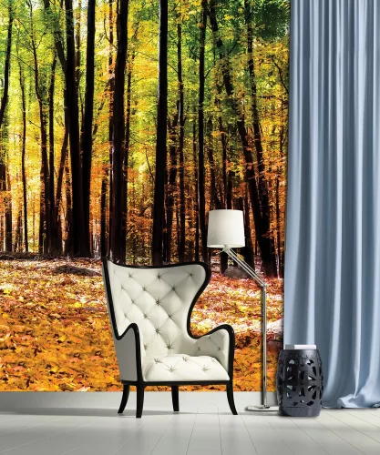 Erdő poszter, fotótapéta, Vlies  (206x275 cm, álló)