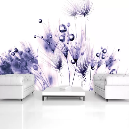 Pitypang poszter, fotótapéta Vlies (152,5 x 104 cm)