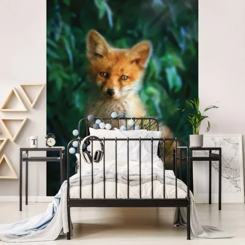 Róka kölyök poszter, fotótapéta, Vlies  (184x254 cm, álló)