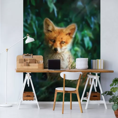 Róka kölyök poszter, fotótapéta, Vlies  (184x254 cm, álló)