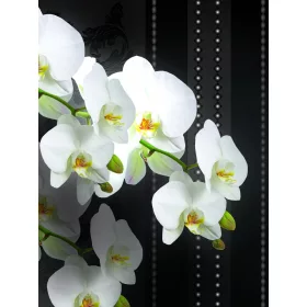   Virág minta poszter, fotótapéta, Vlies  (206x275 cm, álló)