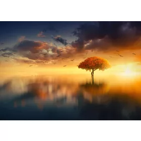   Tenger és Naplemente poszter, fotótapéta, Vlies (104 x 70,5 cm)