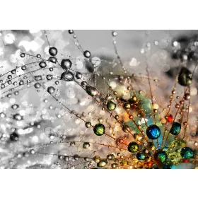 Absztrakt poszter, fotótapéta, Vlies (104 x 70,5 cm)