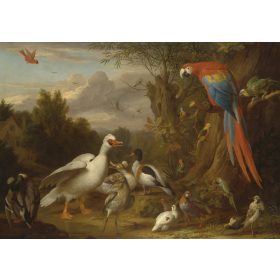   Állatok a képen poszter, fotótapéta, Vlies (104 x 70,5 cm)