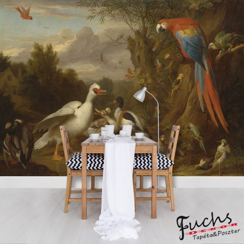 Állatok a képen poszter, fotótapéta, Vlies (104 x 70,5 cm)