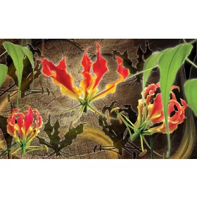 Red lilies poszter, fotótapéta, Vlies (104 x 70,5 cm)