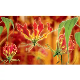 Red lilies poszter, fotótapéta, Vlies (104 x 70,5 cm)