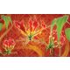 Red lilies poszter, fotótapéta Vlies (208 x 146 cm)