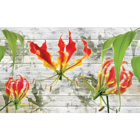 Red lilies poszter, fotótapéta, Vlies (104 x 70,5 cm)