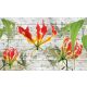 Red lilies poszter, fotótapéta Vlies (368 x 254 cm)