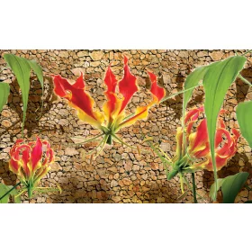 Red lilies poszter, fotótapéta, Vlies (104 x 70,5 cm)