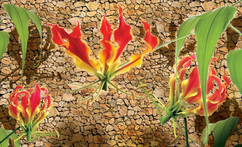 Red lilies poszter, fotótapéta Vlies (254 x 184 cm)