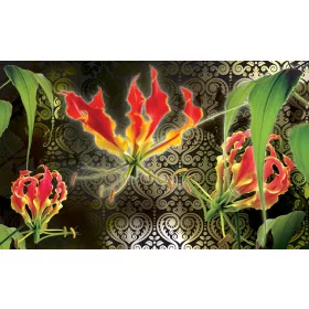 Red lilies poszter, fotótapéta, Vlies (104 x 70,5 cm)