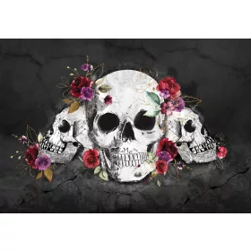 Koponyák poszter, fotótapéta, Vlies (104 x 70,5 cm)