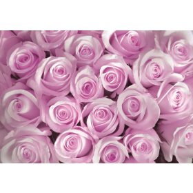 Rózsák poszter, fotótapéta, Vlies (104 x 70,5 cm)