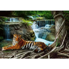   Tigris a vízesésnél poszter, fotótapéta, Vlies (104 x 70,5 cm)