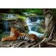 Tigris a vízesésnél poszter, fotótapéta Vlies (254 x 184 cm)