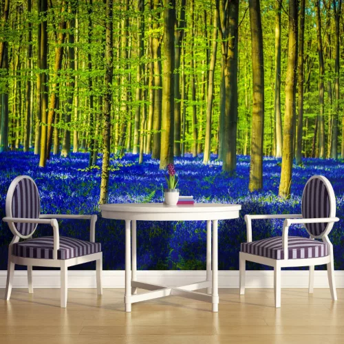 Erdő poszter, fotótapéta Vlies (152,5 x 104 cm)