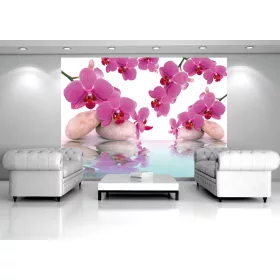 Orchideák poszter, fotótapéta, Vlies (104 x 70,5 cm)