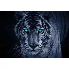 Tigris poszter, fotótapéta Vlies (254 x 184 cm)