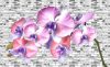 Orchidea poszter, fotótapéta Vlies (254 x 184 cm)