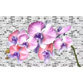 Orchidea poszter, fotótapéta, Vlies (104 x 70,5 cm)