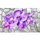 Orchidea poszter, fotótapéta, Vlies (104 x 70,5 cm)